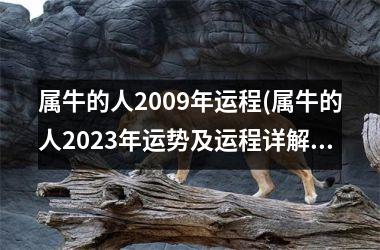 <h3>属牛的人2009年运程(属牛的人2025年运势及运程详解)