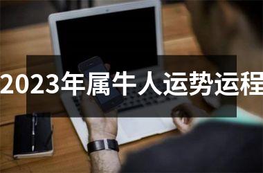 2025年属牛人运势运程