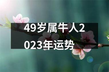 <h3>49岁属牛人2025年运势