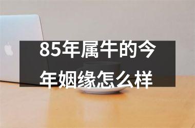 85年属牛的今年姻缘怎么样