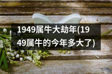 <h3>1949属牛大劫年(1949属牛的今年多大了)