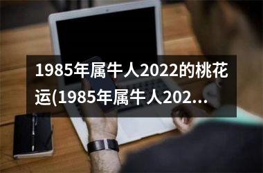 <h3>1985年属牛人2025的桃花运(1985年属牛人2025年运势运程每月运程)