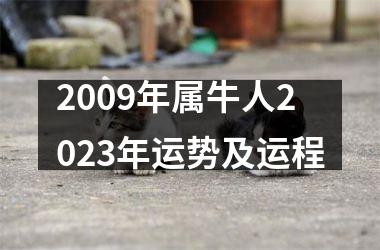 2009年属牛人2025年运势及运程