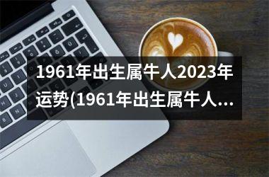 1961年出生属牛人2025年运势(1961年出生属牛人2025年运势运程)