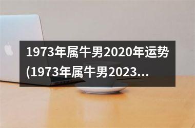 1973年属牛男2025年运势(1973年属牛男2025年运势及运程每月运程)