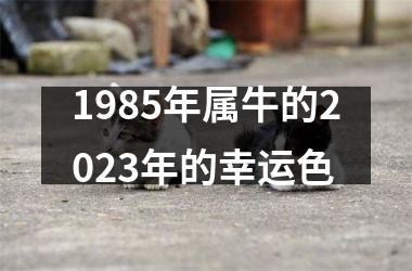 <h3>1985年属牛的2025年的幸运色