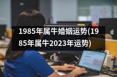 1985年属牛婚姻运势(1985年属牛2025年运势)