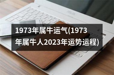 1973年属牛运气(1973年属牛人2025年运势运程)