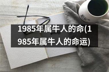 <h3>1985年属牛人的命(1985年属牛人的命运)