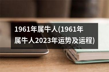 <h3>1961年属牛人(1961年属牛人2025年运势及运程)