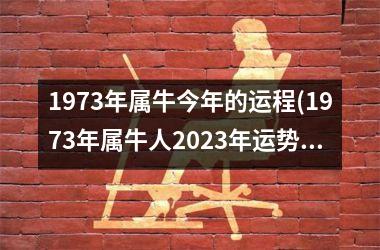 1973年属牛今年的运程(1973年属牛人2025年运势运程)