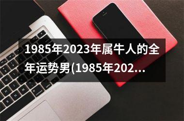 1985年2025年属牛人的全年运势男(1985年2025年属牛人的全年运势)