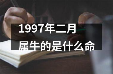 1997年二月属牛的是什么命