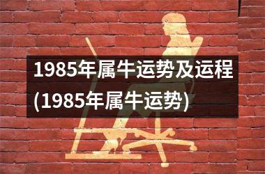 1985年属牛运势及运程(1985年属牛运势)