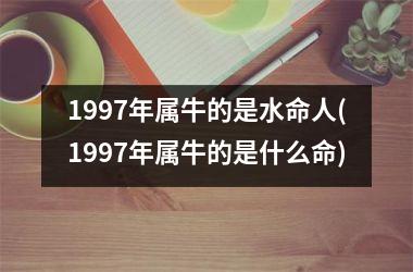 <h3>1997年属牛的是水命人(1997年属牛的是什么命)