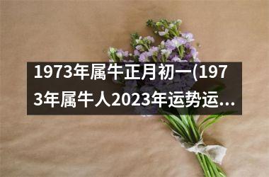 1973年属牛正月初一(1973年属牛人2025年运势运程)