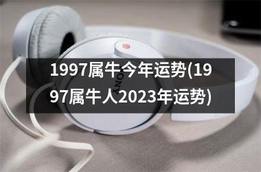 1997属牛今年运势(1997属牛人2025年运势)