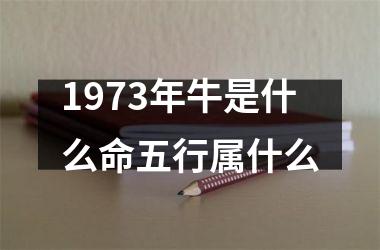 1973年牛是什么命五行属什么