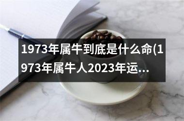 1973年属牛到底是什么命(1973年属牛人2025年运势运程)