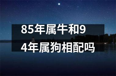 85年属牛和94年属狗相配吗