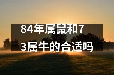 84年属鼠和73属牛的合适吗