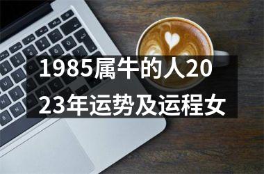 1985属牛的人2025年运势及运程女