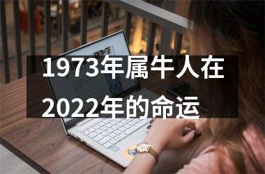 1973年属牛人在2025年的命运