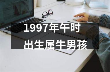 1997年午时出生属牛男孩