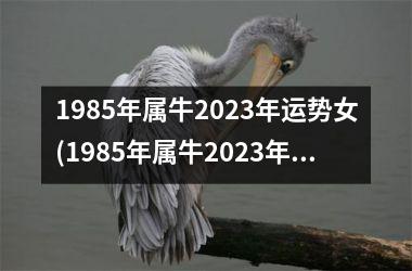 1985年属牛2025年运势女(1985年属牛2025年运势及运程)