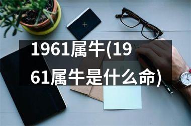 <h3>1961属牛(1961属牛是什么命)