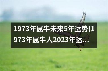 1973年属牛未来5年运势(1973年属牛人2025年运势运程)