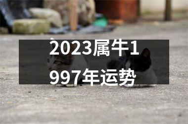 2025属牛1997年运势