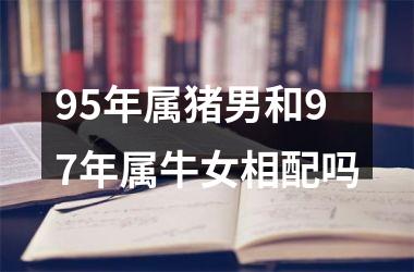 95年属猪男和97年属牛女相配吗