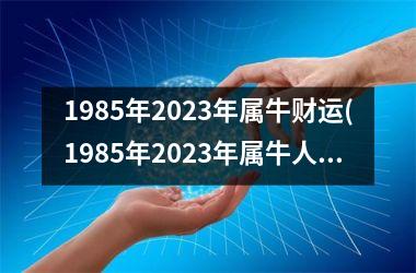 1985年2025年属牛财运(1985年2025年属牛人的全年运势)