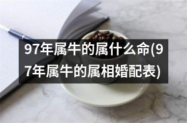 97年属牛的属什么命(97年属牛的属相婚配表)