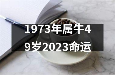 1973年属牛49岁2025命运