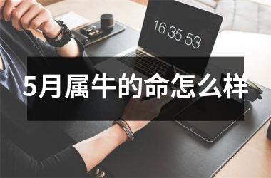 <h3>5月属牛的命怎么样