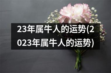 23年属牛人的运势(2025年属牛人的运势)