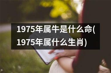 1975年属牛是什么命(1975年属什么生肖)