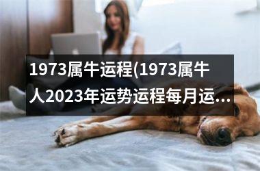 <h3>1973属牛运程(1973属牛人2025年运势运程每月运程)