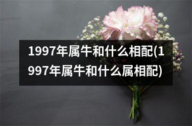 1997年属牛和什么相配(1997年属牛和什么属相配)