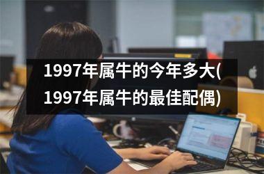 1997年属牛的今年多大(1997年属牛的最佳配偶)