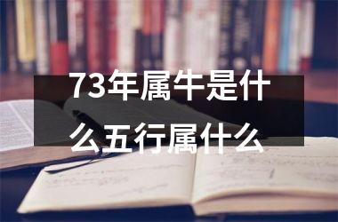 <h3>73年属牛是什么五行属什么