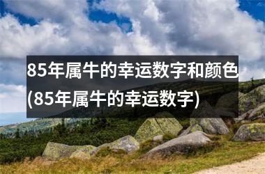 85年属牛的幸运数字和颜色(85年属牛的幸运数字)