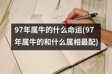 <h3>97年属牛的什么命运(97年属牛的和什么属相最配)