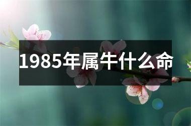 1985年属牛什么命