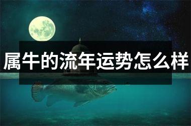 <h3>属牛的流年运势怎么样