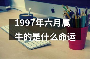 <h3>1997年六月属牛的是什么命运