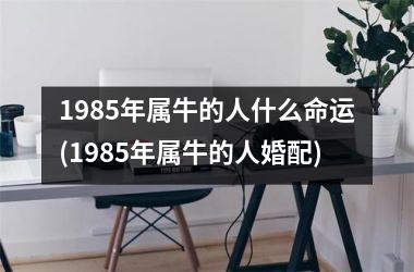 1985年属牛的人什么命运(1985年属牛的人婚配)