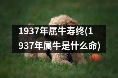 <h3>1937年属牛寿终(1937年属牛是什么命)